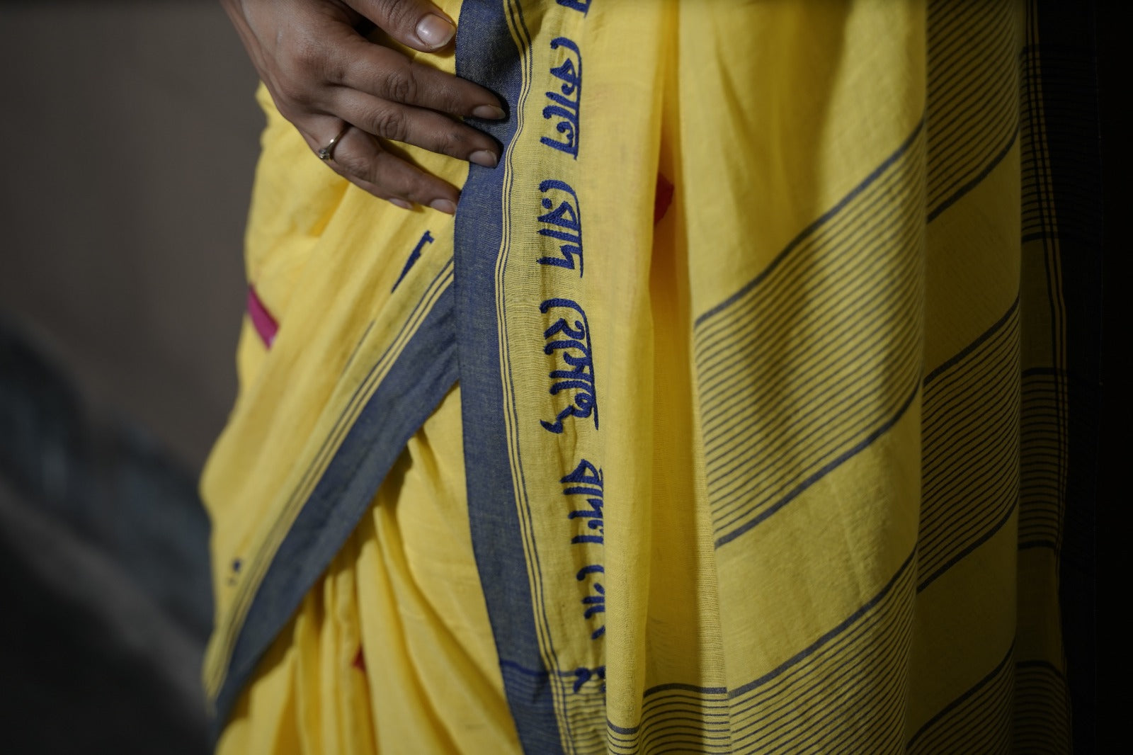 Megher Koley Saree