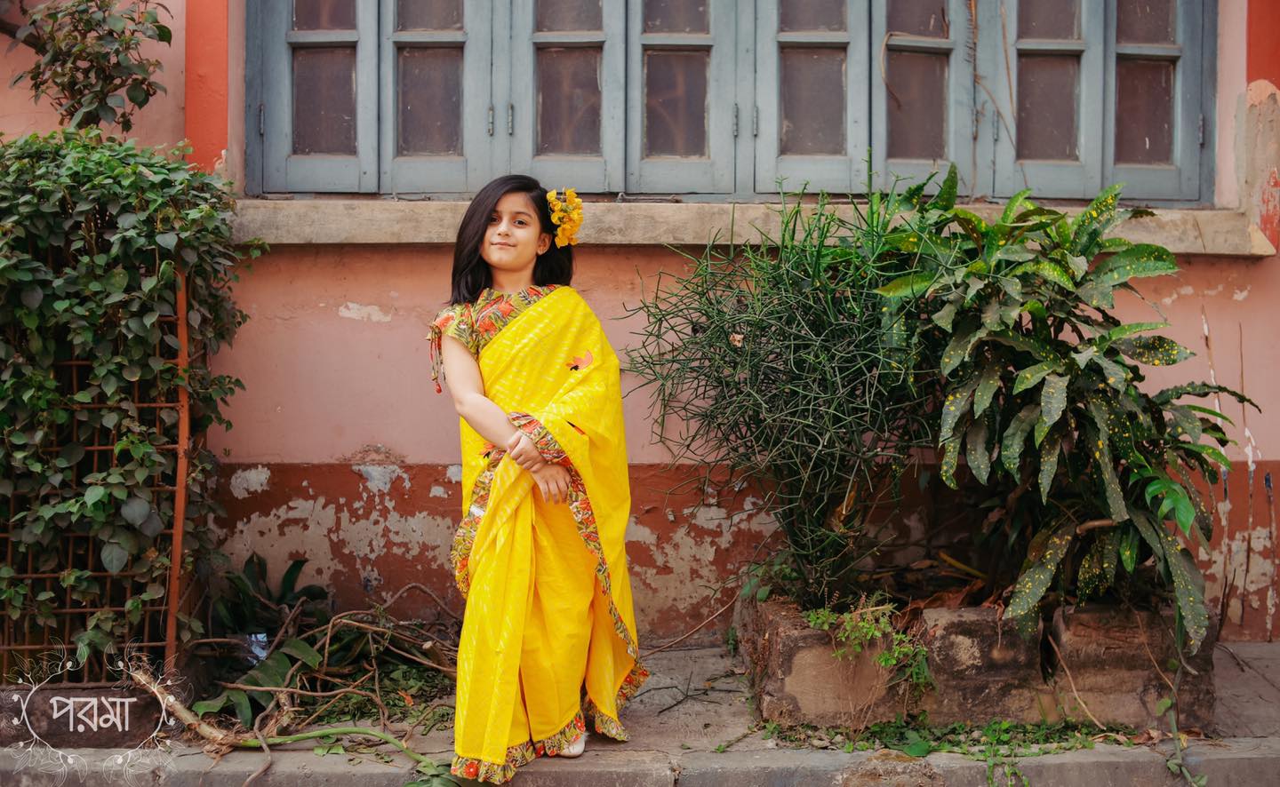 YELLOW PALASH