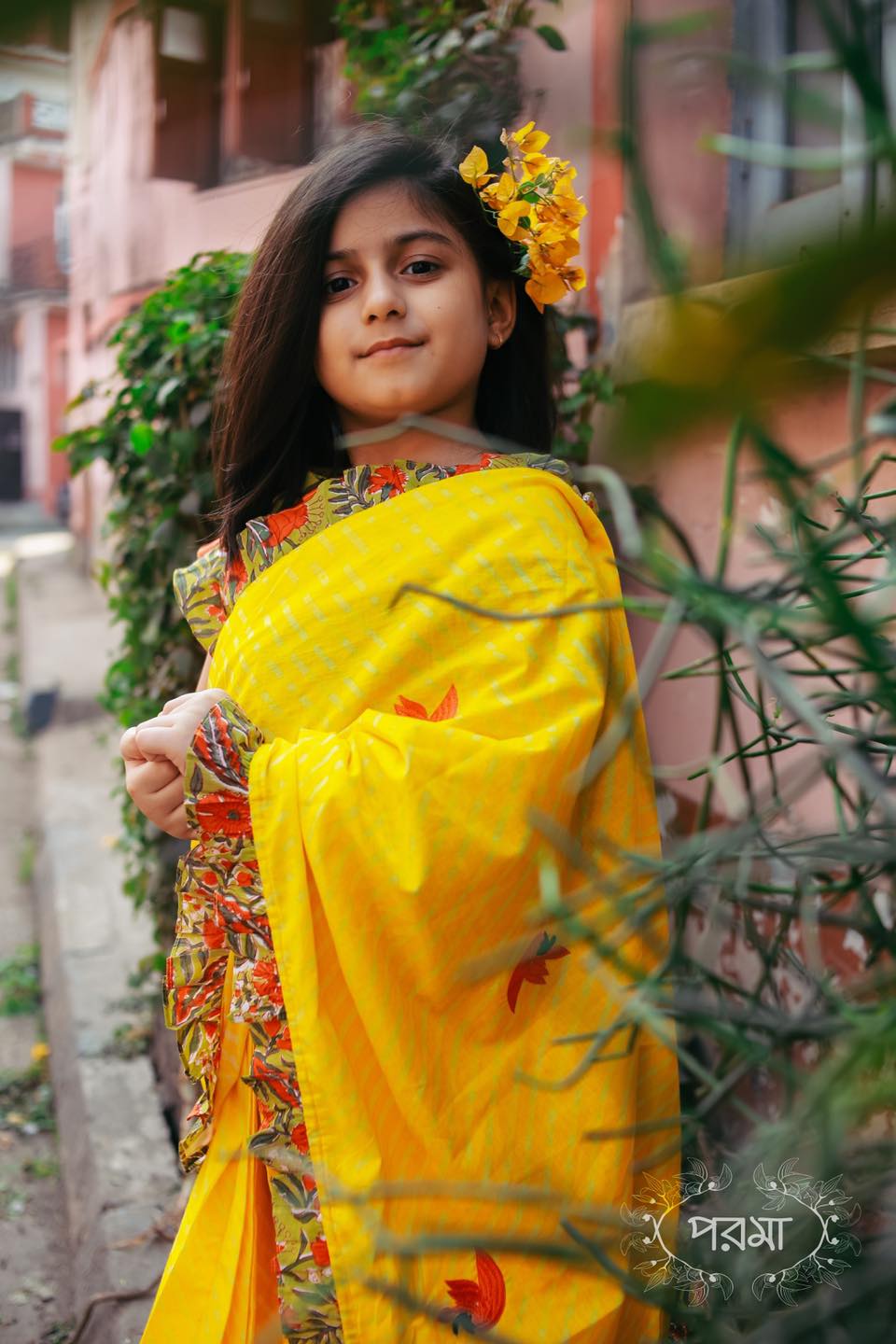 YELLOW PALASH