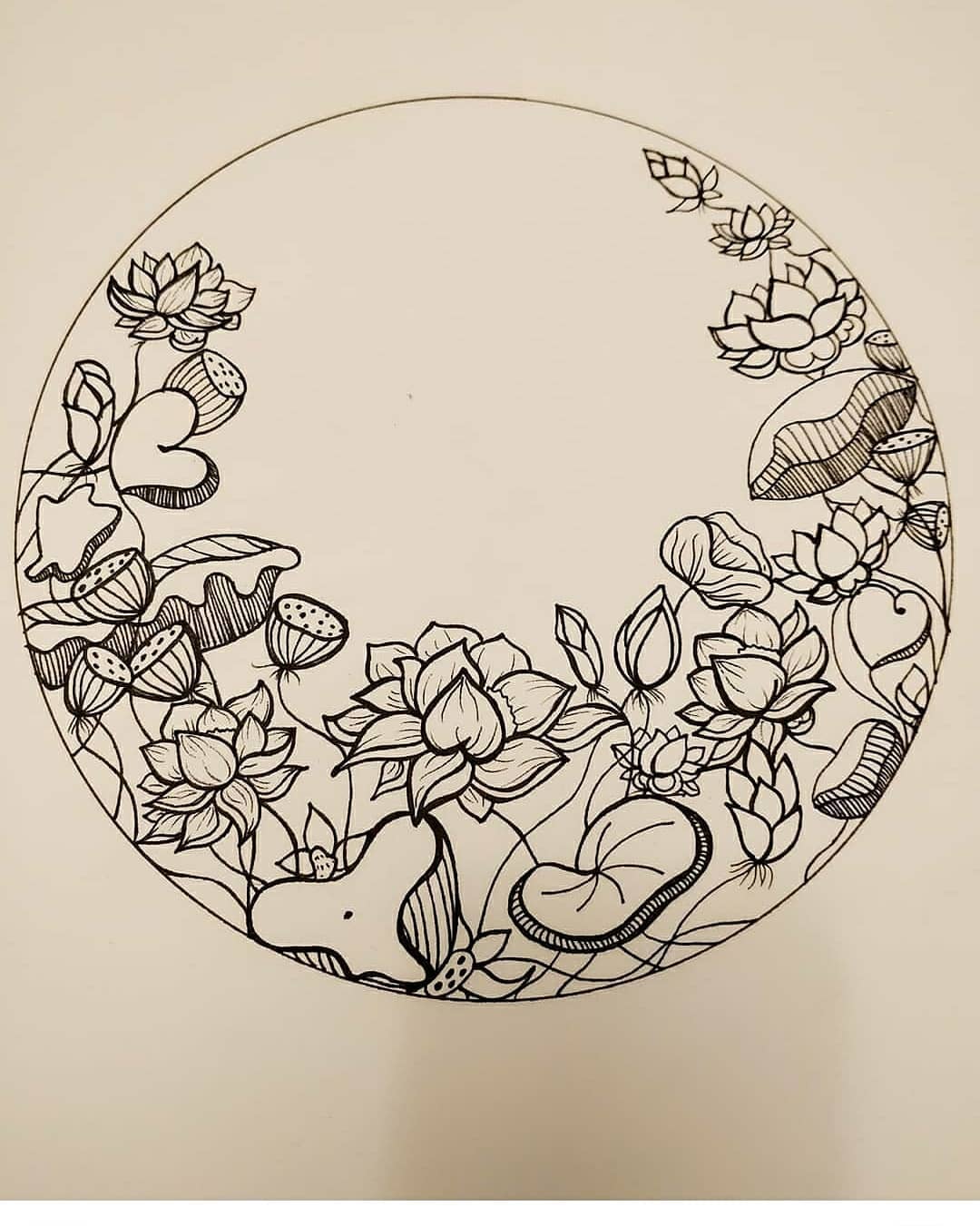 LOTUS