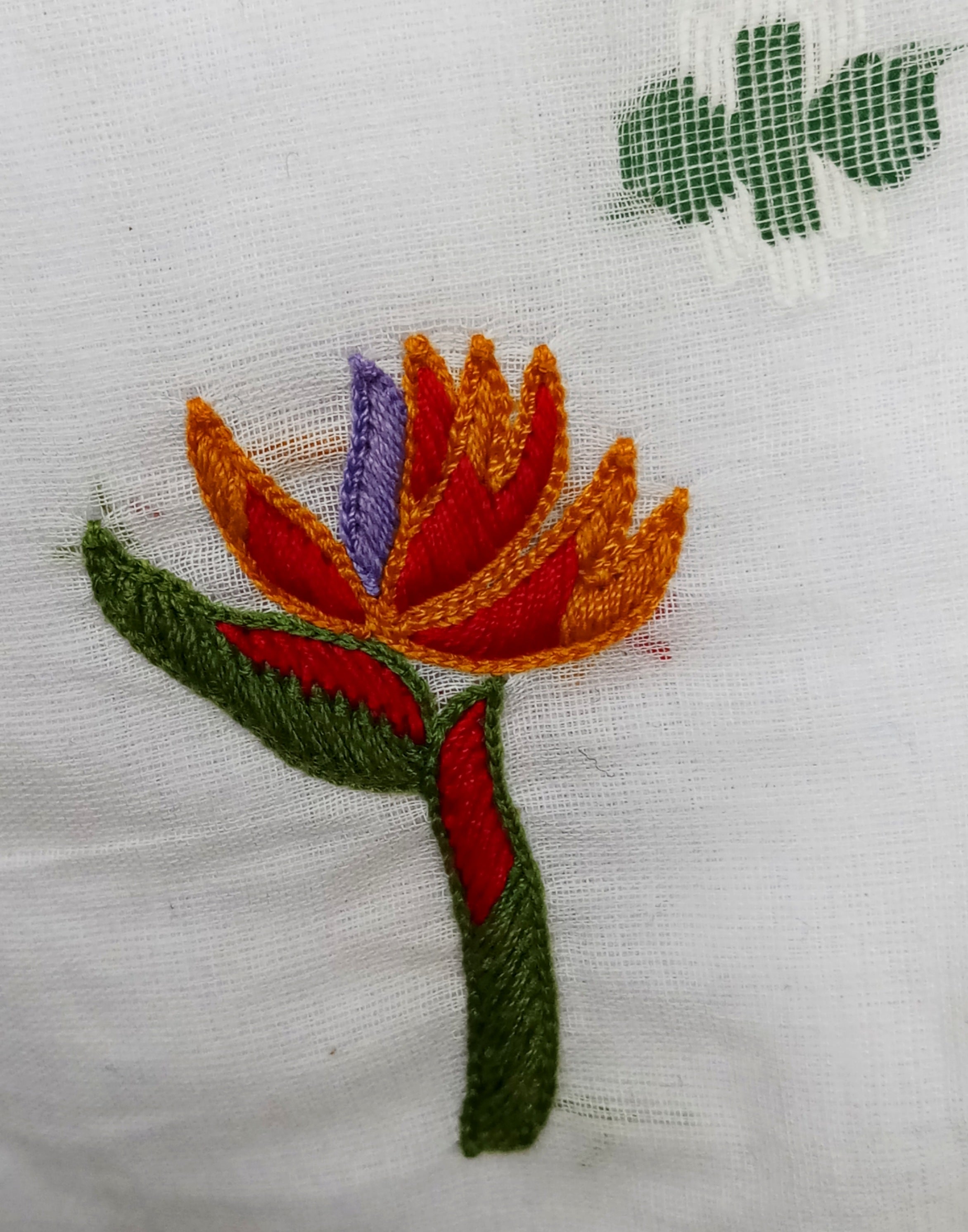 WHITE BIRDS OF PARADISE