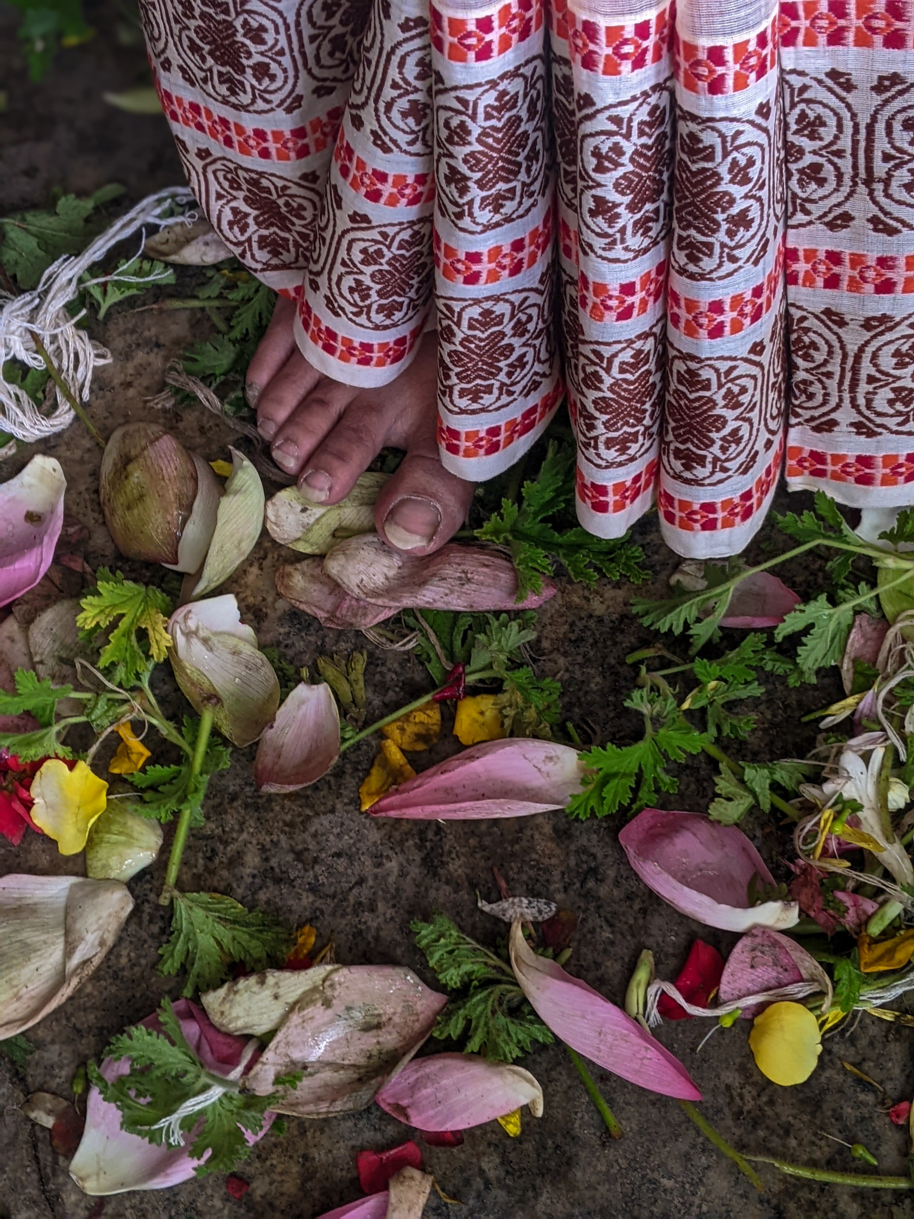 RASHBEHARI AVENUE (SAREE)